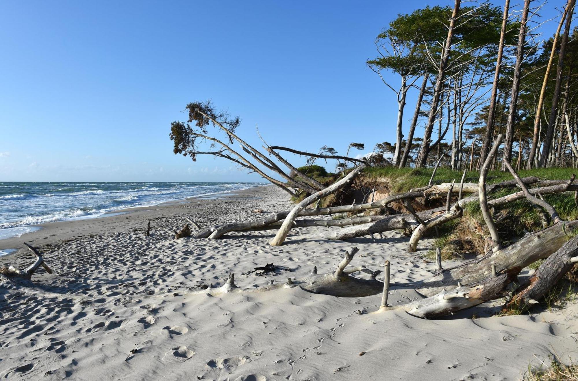 Strandhafer An Der Seebruecke Apartment Zingst