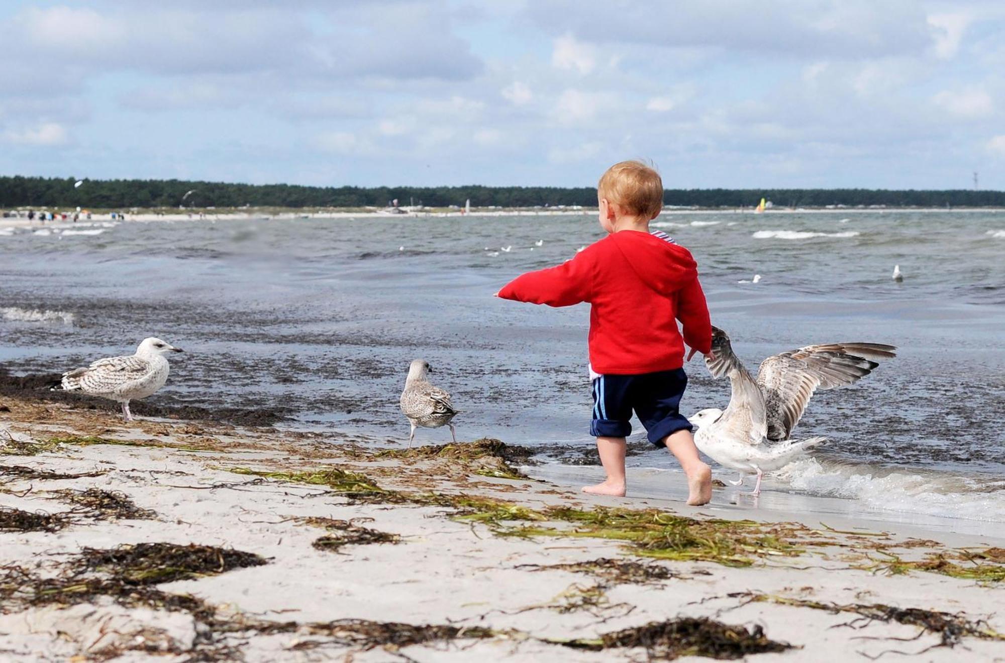 Strandhafer An Der Seebruecke Apartment Zingst